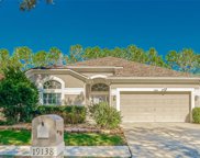 19138 Chemille Drive, Lutz image