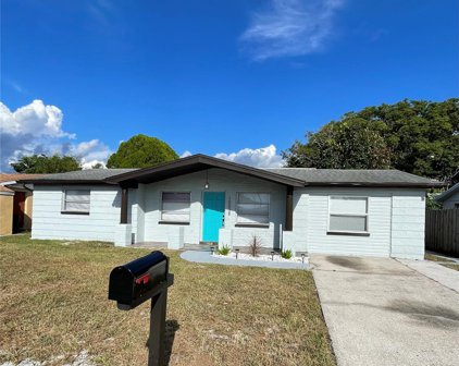 10038 Vineyard Ln, Port Richey