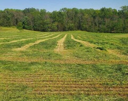 Lot 8 Calico Rock  Rd, Rocky Mount