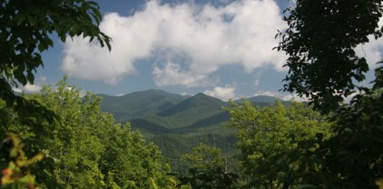 LOT #43 Anderson Drive, Clayton