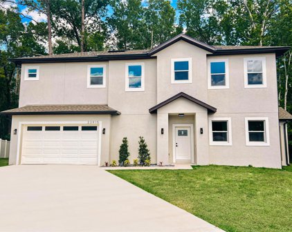 23915 Nene Circle, Land O' Lakes