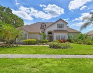 3926 Arlington Drive, Palm Harbor image