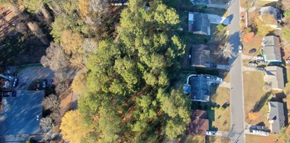 Bethsaida Road, South Fulton