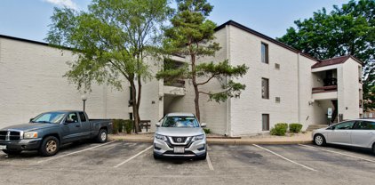 354 W Miner Street Unit #2C, Arlington Heights