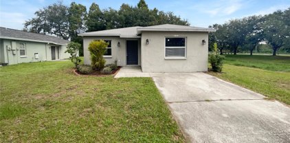 4409 W Pintor Place, Tampa