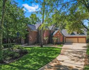 10 N Longspur Drive, The Woodlands image