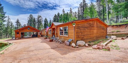 656 Black Bear Drive, Divide