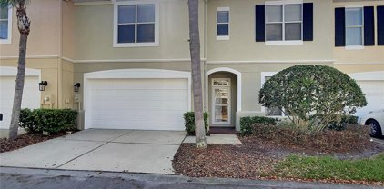 3517 Heards Ferry Drive, Tampa