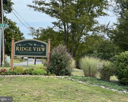 Woodbrier Ln, Berkeley Springs
