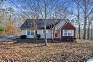 8711 Pine Mountain Road, Pinson image