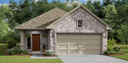 10443 Astor Point Trail, Tomball