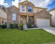 10931 Winecup Field, Helotes image