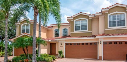 4045 Courtside Way, Tampa