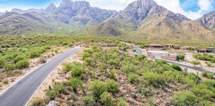 10605 N Del Sole Unit #79, Oro Valley