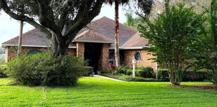 11130 Skyway Drive, Clermont