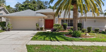 10451 Ventura Drive, Spring Hill