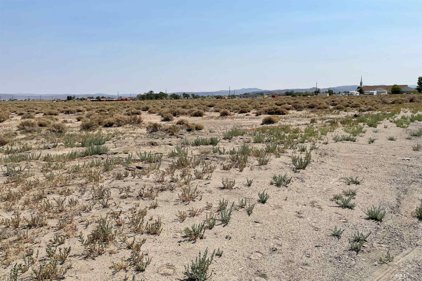 5460 Highway 95A South, Silver Springs