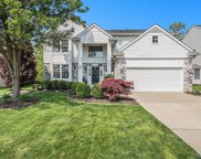 1191 Shetland, South Lyon image