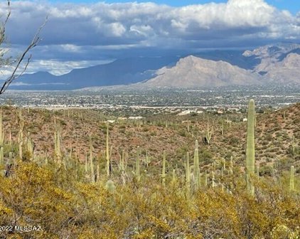 W Wasson Vista, Tucson