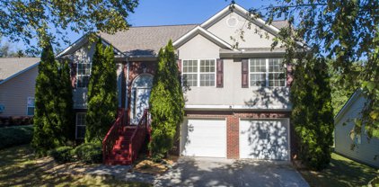 4058 Savannah Ridge Court, Loganville
