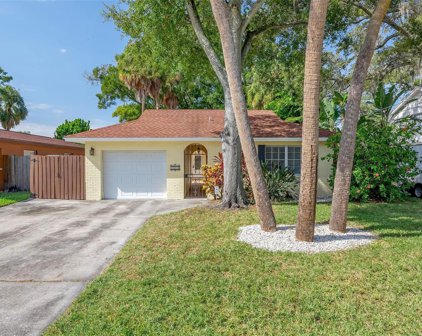 207 S Occident Street, Tampa