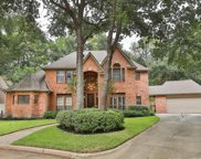14210 Vanessa Circle, Houston image