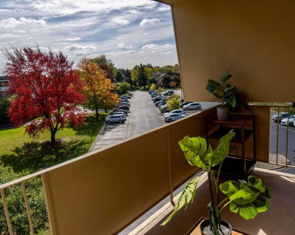 3350 N Carriageway Drive Unit #405, Arlington Heights