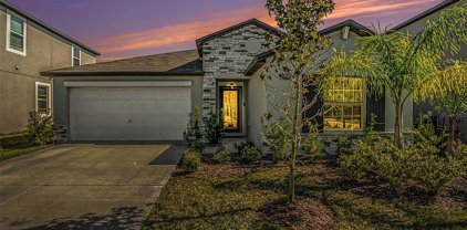 31831 Sun Kettle Loop, Wesley Chapel