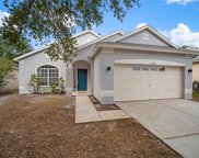 11120 Newbridge Drive, Riverview image