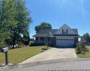 104 Fallingleaf Drive, Raeford image