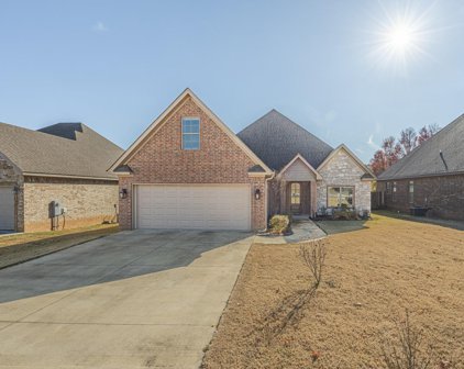 4105 Bobcat Meadow Lane, Jonesboro