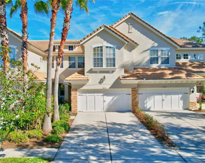 14551 Mirabelle Vista Circle, Tampa