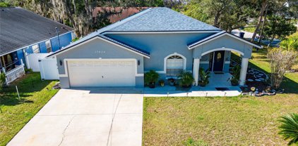 10424 N Oklawaha Avenue, Tampa