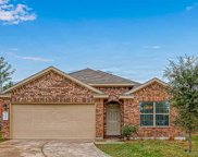 24434 Raindrop Poppy Drive, Spring image