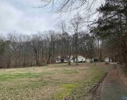 1296 Lake Blvd, Scottsboro image