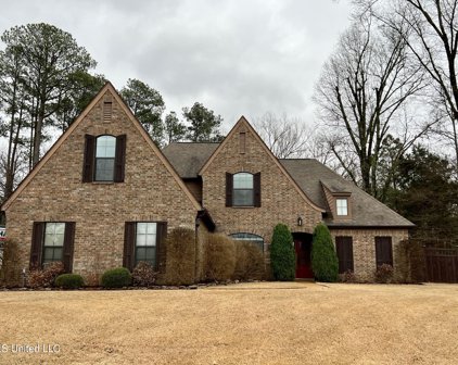 7463 Featherston Cove, Olive Branch
