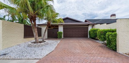 5005 Paloma Drive, Tampa
