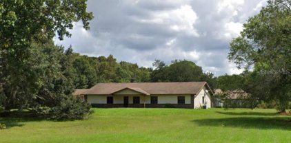 24551 Oaks Boulevard, Land O' Lakes