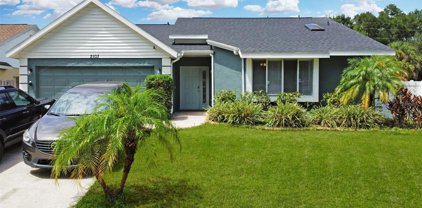 2103 Darlington Oaks Drive, Seffner