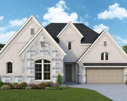 427 Paintbrush Meadows Drive, Willis