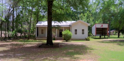 155 Michael Drive, Abbeville