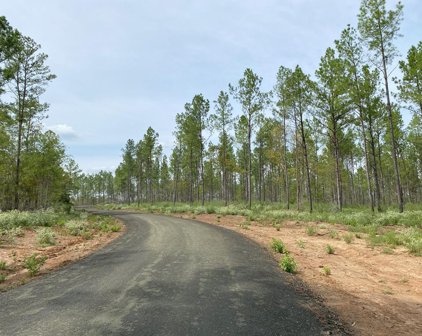 24633 Lot 20 Fm 844, Huntington