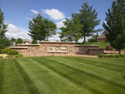 902 SE CEDRUS Lane, Blue Springs