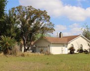 6302 Metz Road, Groveland image