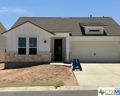 1405 Dancing Oak Lane, San Marcos
