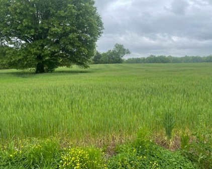 Bunker Hill Road, Rockvale