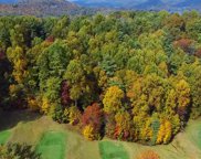207 Audubon Trail, Cashiers image