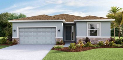 12484 Dora Trail, Parrish