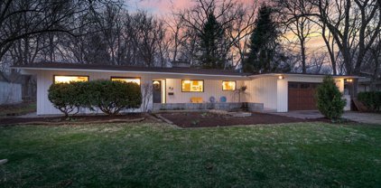60 Golden Larch Court, Naperville