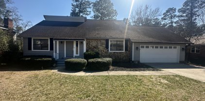 3720 PINNACLE PLACE Drive, Hephzibah